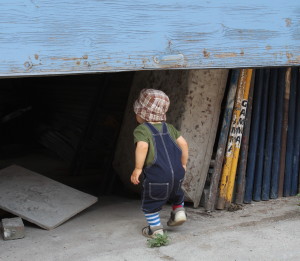 Ce petit explorateur se fera-t-il écraser par la porte de garage? PHOTO : INSPECTEUR D